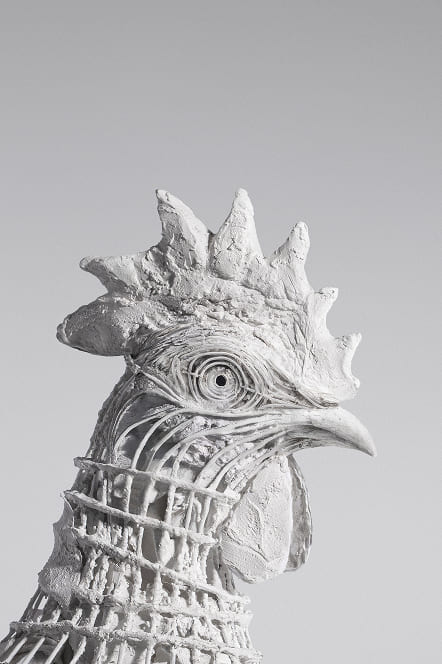 White Rooster –&nbsp;LookingClass